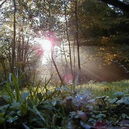 Сasa de vacaciones Moselle With Private Sauna *