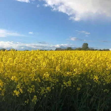 Сasa de vacaciones Moselle With Private Sauna Kleinich