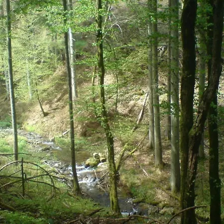 Сasa de vacaciones Moselle With Private Sauna Kleinich