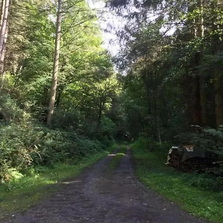 Moselle With Private Sauna