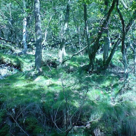 Moselle With Private Sauna * Kleinich