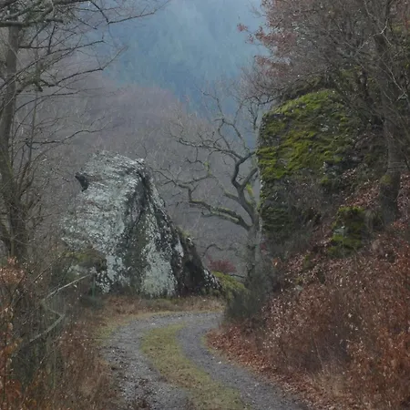 Moselle With Private Sauna * Kleinich