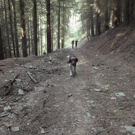 Сasa de vacaciones Moselle With Private Sauna Kleinich