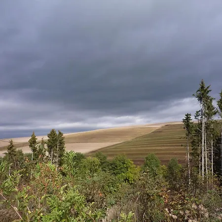 Moselle With Private Sauna
