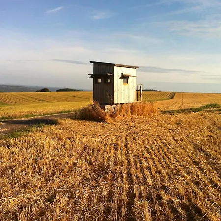 Moselle With Private Sauna Kleinich