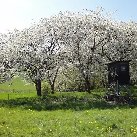 Moselle With Private Sauna Сasa de vacaciones *