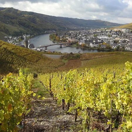Moselle With Private Sauna Сasa de vacaciones Kleinich