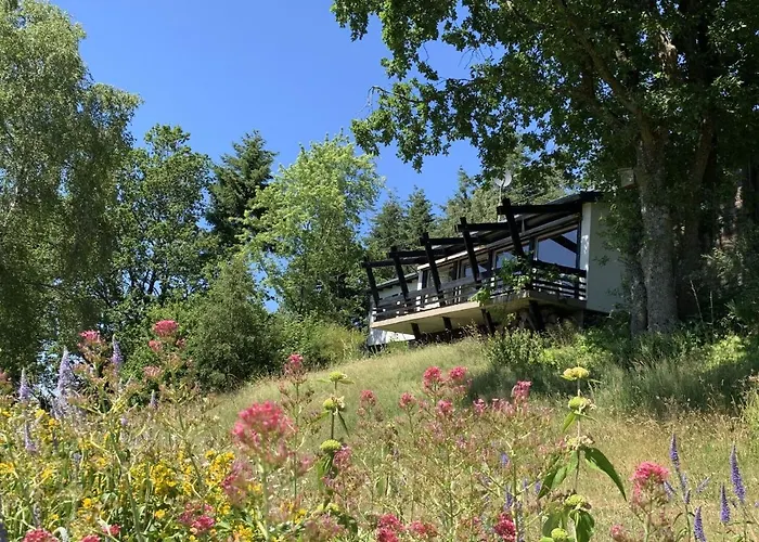 Moselle With Private Sauna