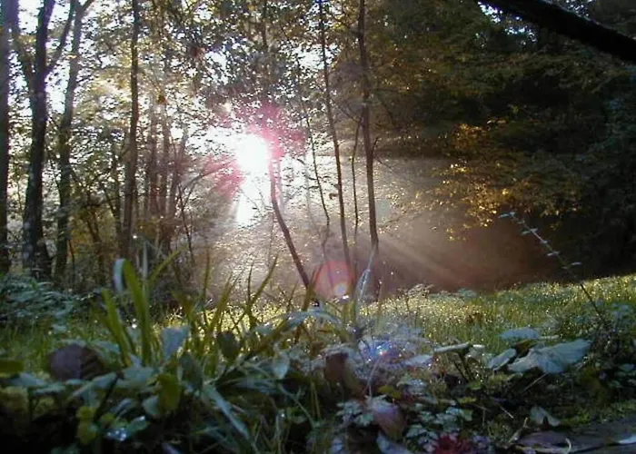 Casa de Férias Moselle With Private Sauna *