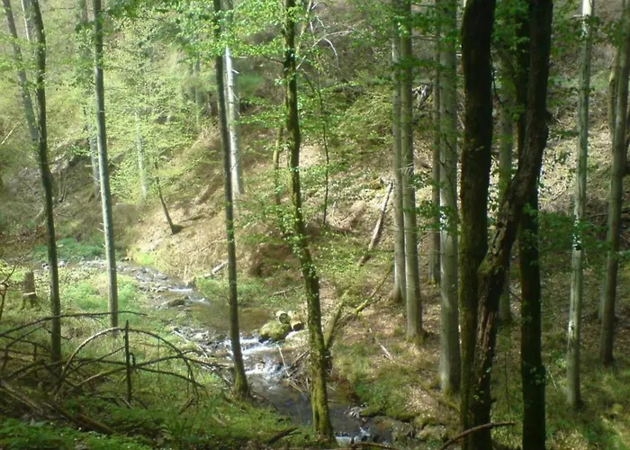 Casa de Férias Moselle With Private Sauna Kleinich