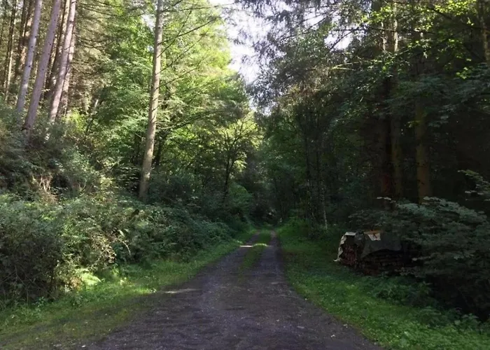 Moselle With Private Sauna