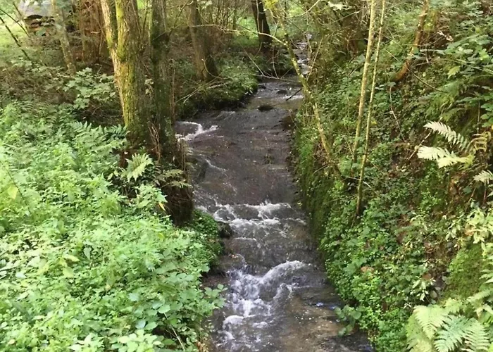 Casa de Férias Moselle With Private Sauna *
