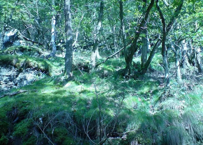 Moselle With Private Sauna * Kleinich