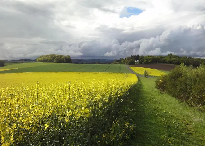 Moselle With Private Sauna Casa de Férias Kleinich
