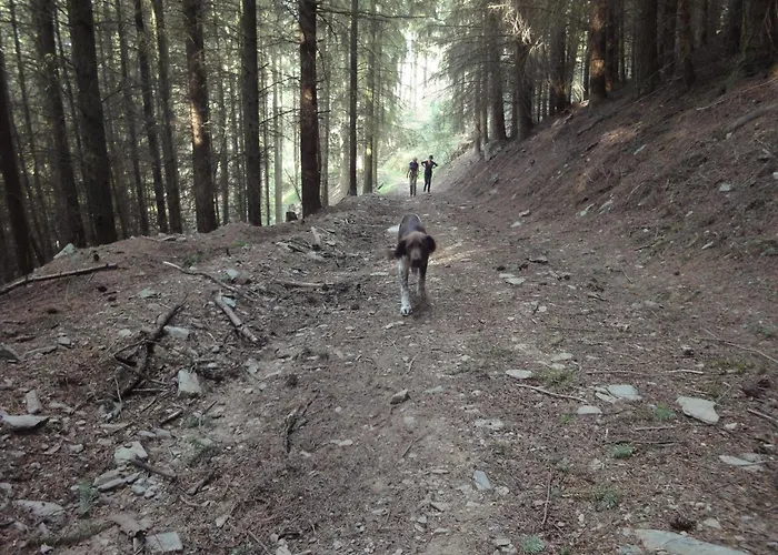 Casa de Férias Moselle With Private Sauna Kleinich