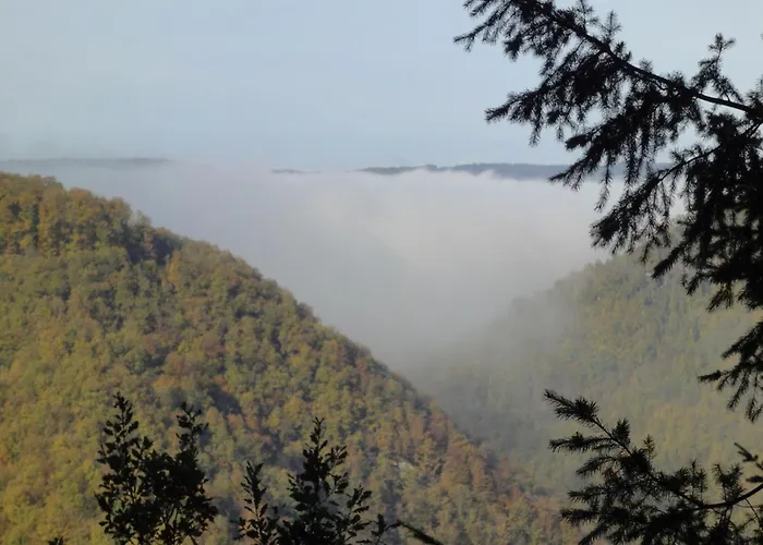 Moselle With Private Sauna Casa de Férias