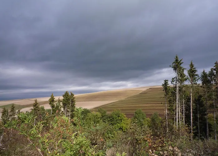 Moselle With Private Sauna