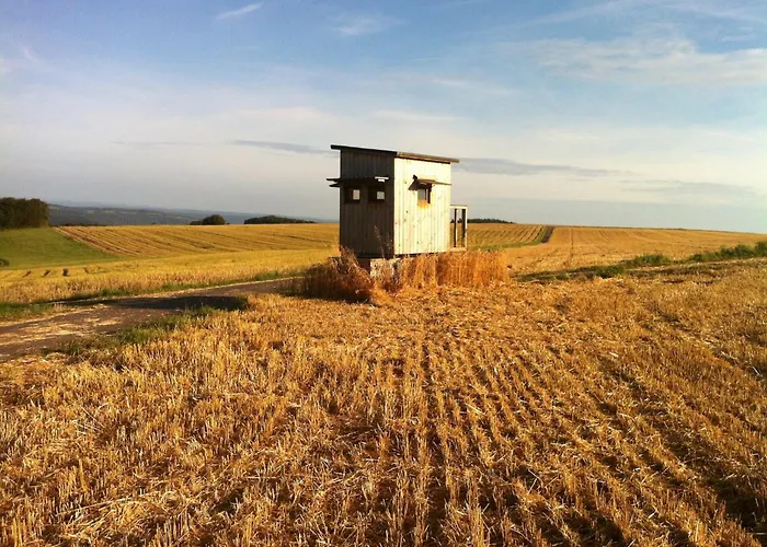 Moselle With Private Sauna Kleinich