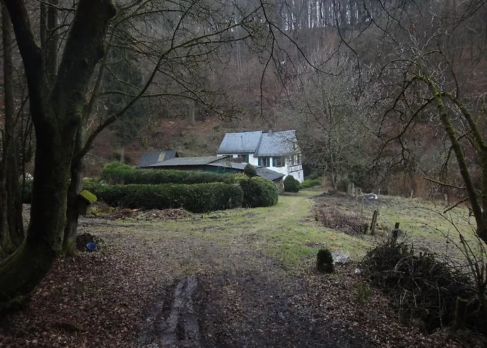 Moselle With Private Sauna