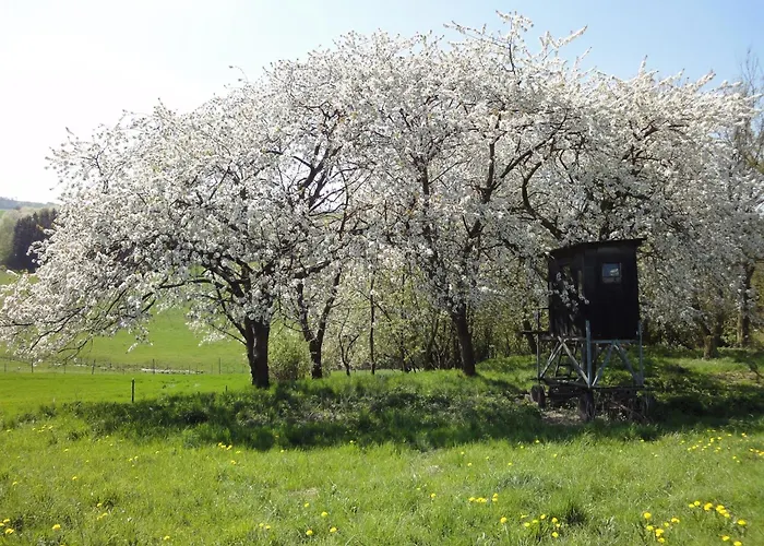 Moselle With Private Sauna Casa de Férias *