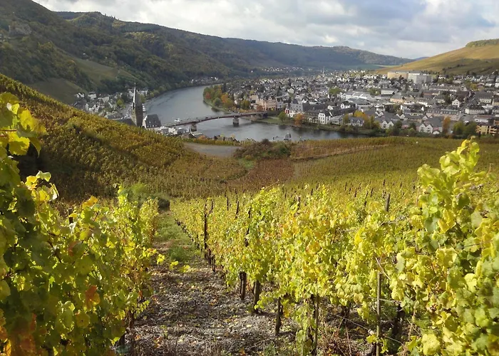 Moselle With Private Sauna Casa de Férias Kleinich